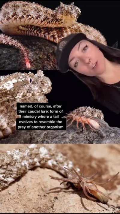 Grabs flamethrower
