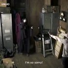 Scaring