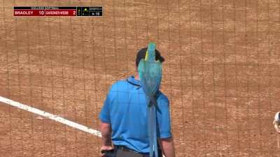 [Highlight] Parrots cause chaos at a collegiate softball game.