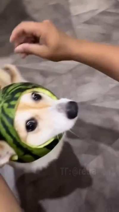 +5 к броне