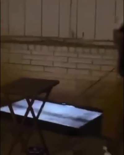 Clown can’t handle his teams loss