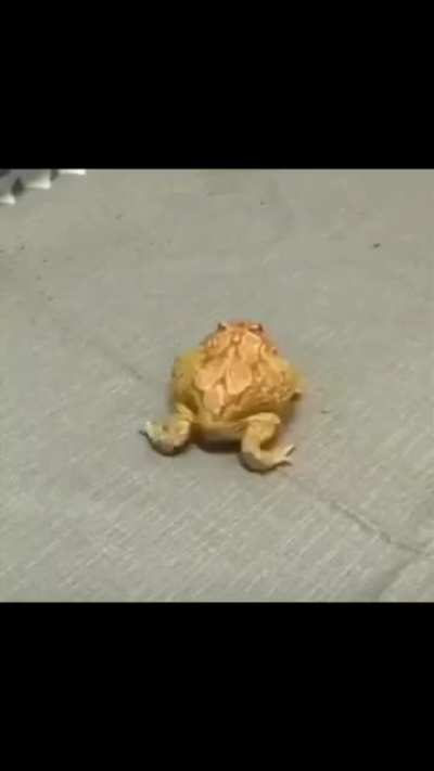 Dancin