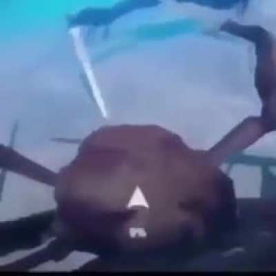 Crab battle Royale