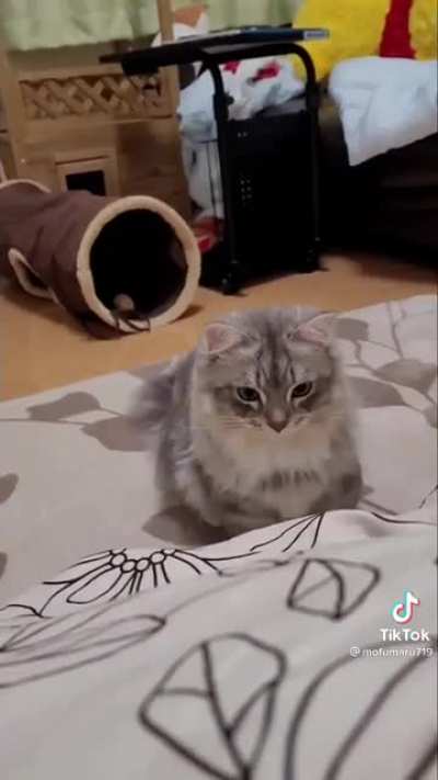 HOP!!