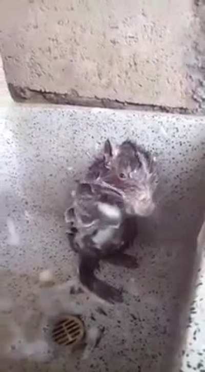 Micah taking a shower