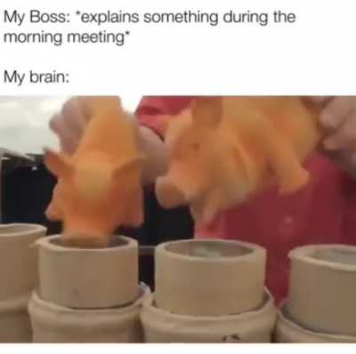 Oink Oink