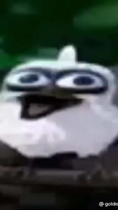 A fine shitpost