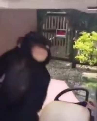 Esta va Pal orlosk