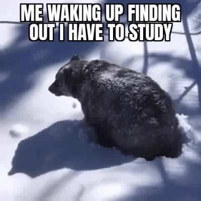 Med school students go brrrr