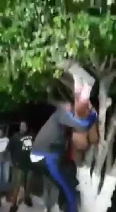 Jaja mono
