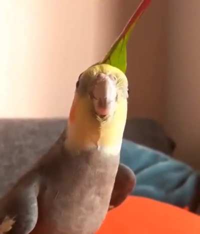 Sing with me