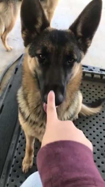 👆