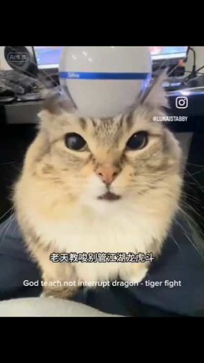 hh