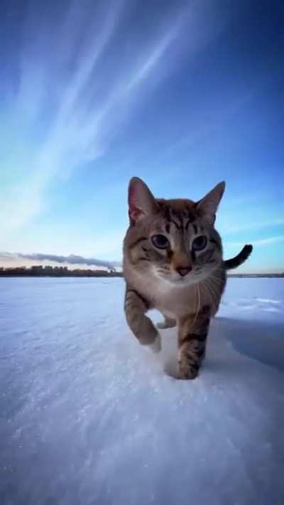 Хрусть....