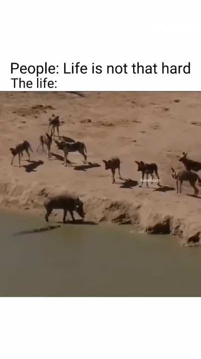 Damn