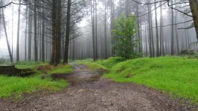 A gentle drizzle in the Irish mountains