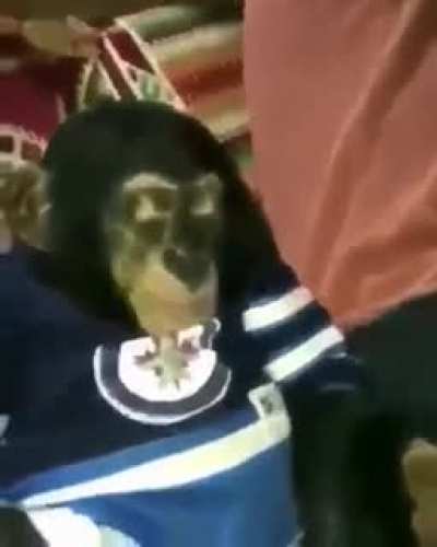 yoooooooooooo monke likes WEEEEEEEEED