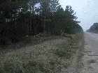 🔥 An elk catching some air 🔥