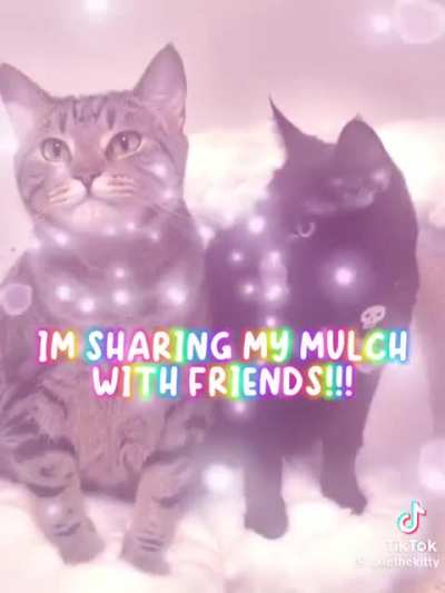 Mulch <3