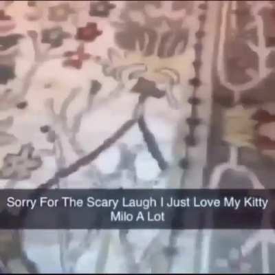 poor cat