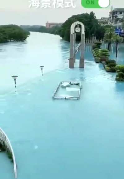 Chinese government taking measures against global warming
