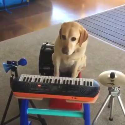 Professional songwriter
