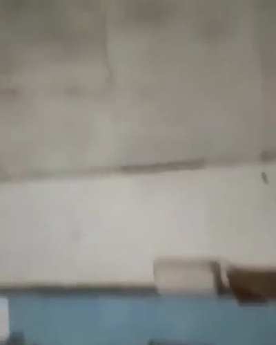 Moldy ghost hunt