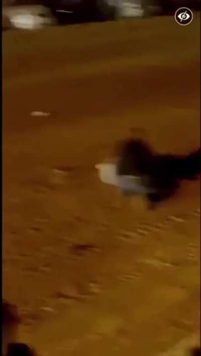 Race gone wrong