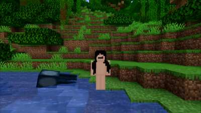 i took a screenshot of me in minecraft for 5 years (not 5 years but watch )