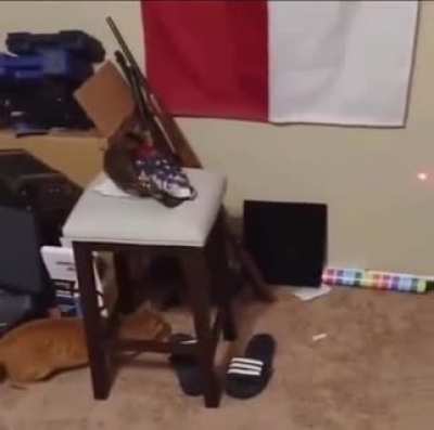 He's gonna get it