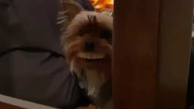 Sorria, você está sendo filmado
