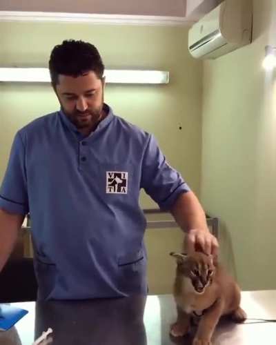 siCK fUck GETS kItTEN ADDictEd TO HeroiN