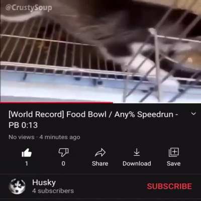 O.O