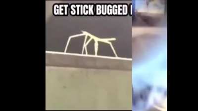 Repost: This edit took me over 30 hours too make, what do you think about it mr.cow