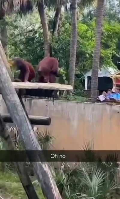 :(