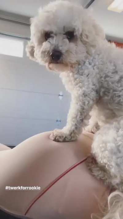 Madelaine Petsch