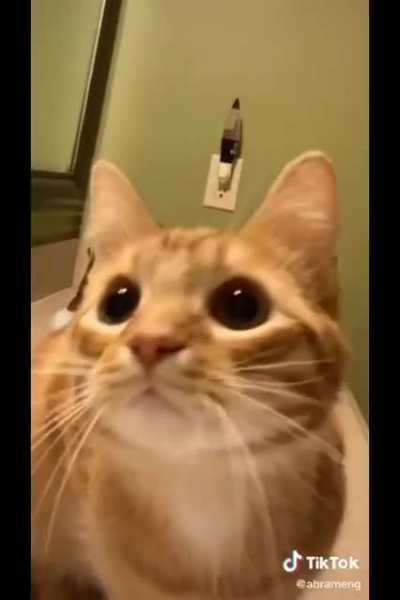 M to the B