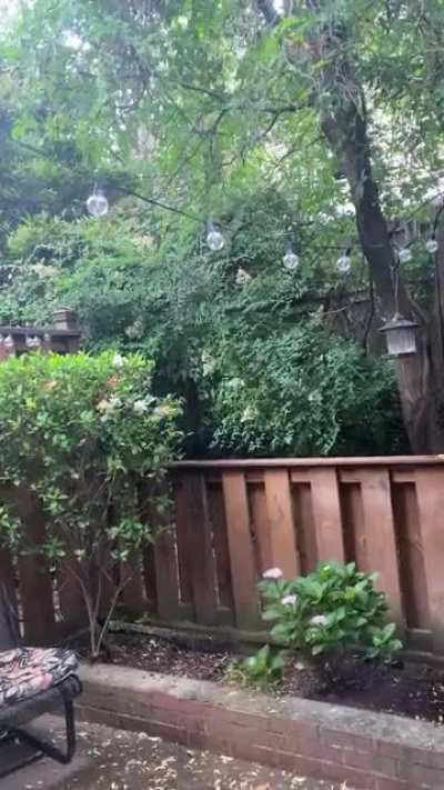 Evening rain