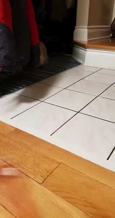 Perfectly cut scrasp