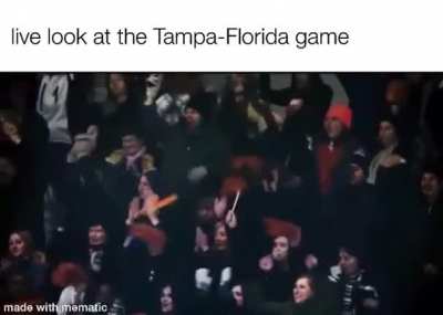 Utter fucking chaos
