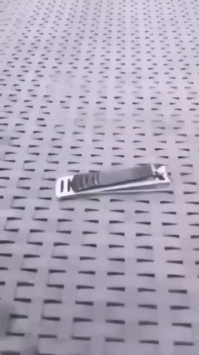 How does she wipe??