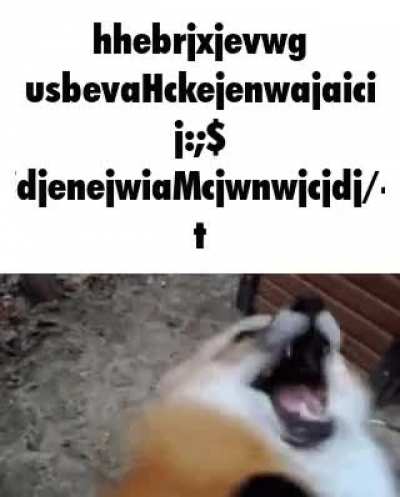 i stroeke