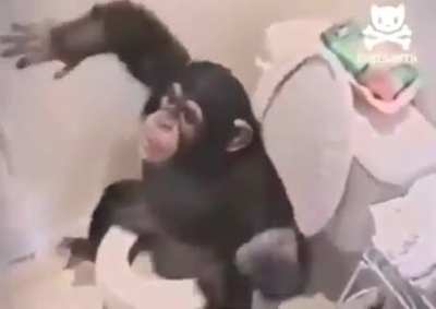 Monke toilet