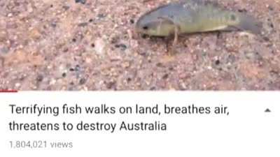 Australia doomed.