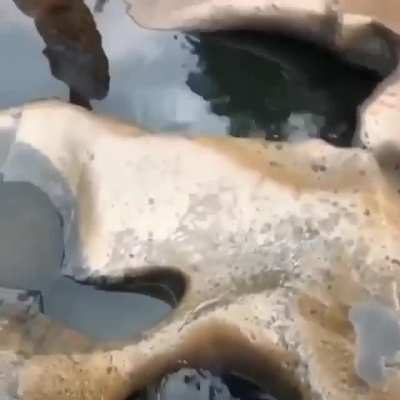 Down the hole