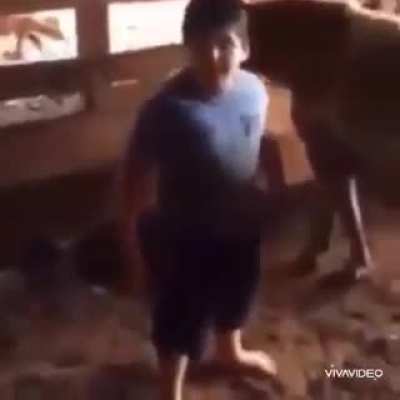 Esse aí é maxor