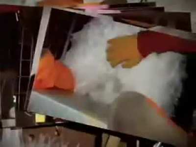 cursed_ducktales