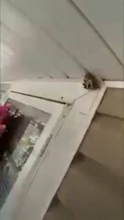 😲😲😲