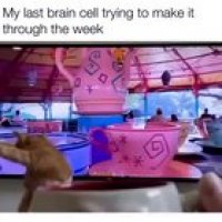 My last brain cell trying to make it through the week