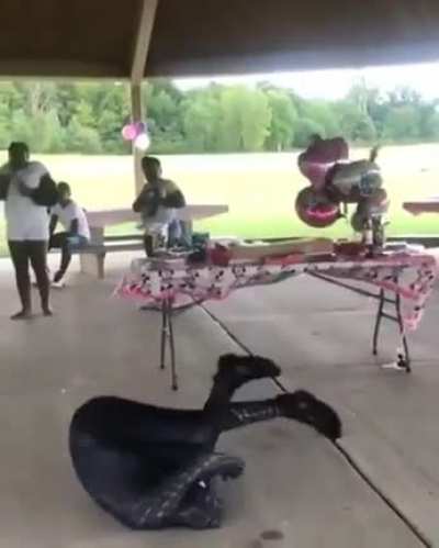 HMFT after I realise I’m not Spider-Man